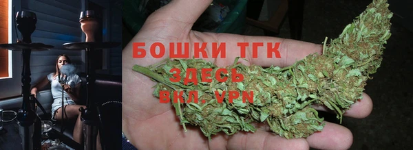 тгк Пересвет