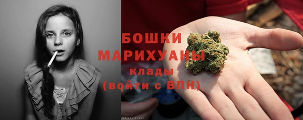тгк Пересвет