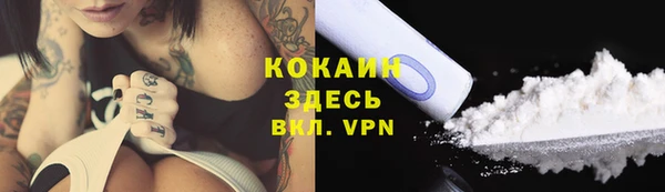 тгк Пересвет