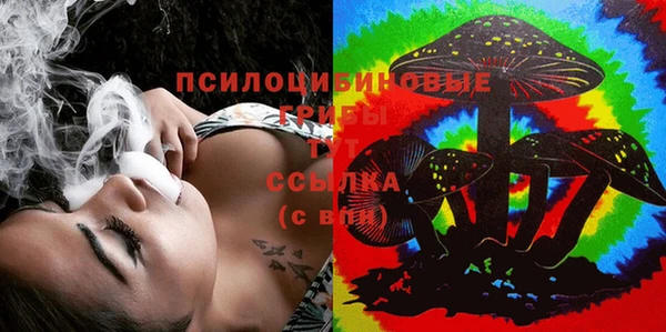 тгк Пересвет
