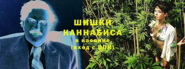тгк Пересвет