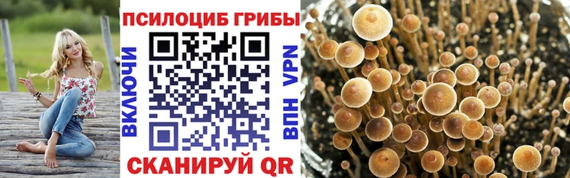 Псилоцибиновые грибы MAGIC MUSHROOMS  Тарко-Сале 